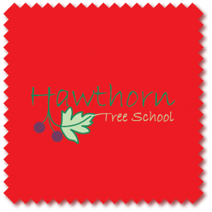 Hawthorn Tree School