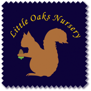 Little Oaks Nursery