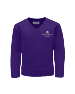 Purple V-Neck Sweatshirt