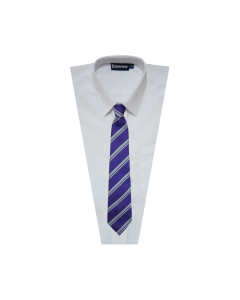 TI-035 Purple & Silver Clip on Tie