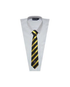 TI-056 Black & Yellow 52" Caeli House Tie