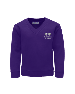 Purple V-Neck Sweatshirt