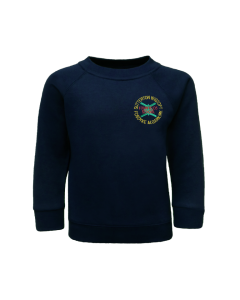 Navy Sweatshirt