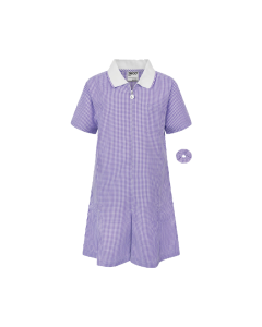 Plain Purple Junior Gingham Dress (Contrast Collar)