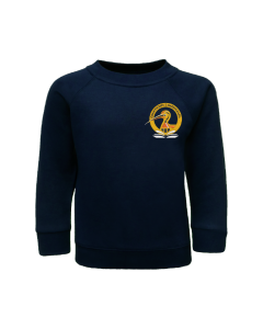 Navy Sweatshirt