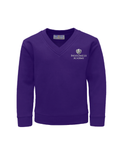 Purple V-Neck Sweatshirt