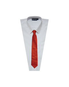 TI-045 Red Clip On Tie 