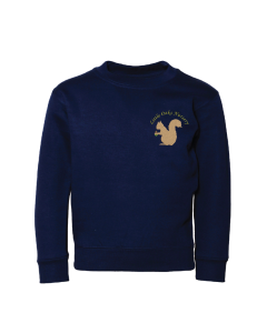 Navy Sweatshirt