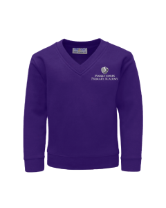 Purple V-Neck Sweatshirt