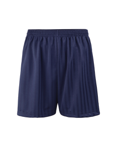 Plain Navy PE Shadow Shorts