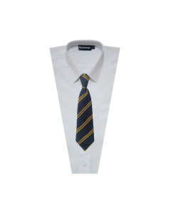 TI-033 Navy & Gold Clip on Tie