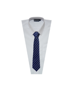 TI-061 Royal & Silver 45" Tie