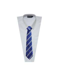 TI-022 Royal & White 45" Tie