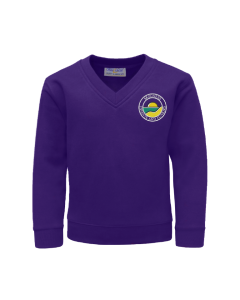 Purple V-Neck Sweatshirt (Yr 6)