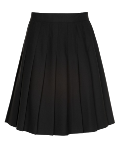 Plain Black Pleated Skirt