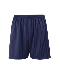 Plain Navy PE Shadow Shorts