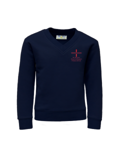 Navy V-Neck Sweatshirt
