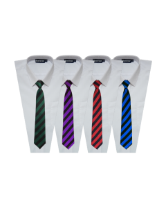 House Clip On Tie