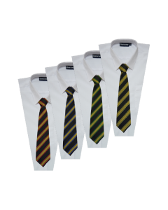 House Tie