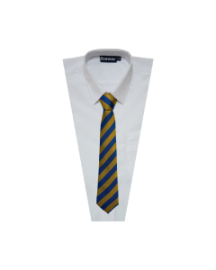 TI-096 Royal & Gold 39" Tie