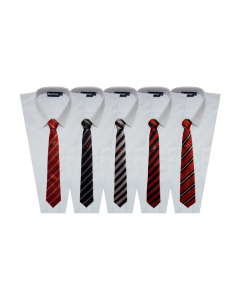 Haven High Academy Tie