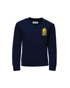 Navy V Neck Sweatshirt