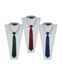 House Clip On Tie