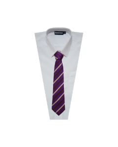 TI-073 Purple, Silver & Black 52" Tie