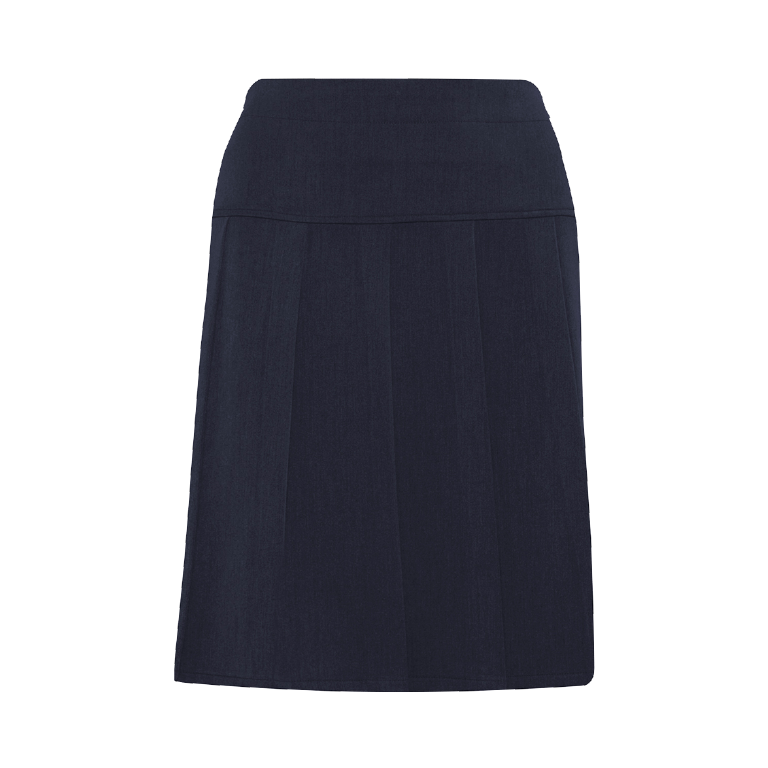Blue pleated uniform online skirt