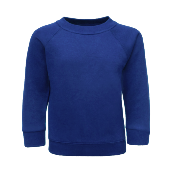 Plain royal blue sweatshirt hot sale