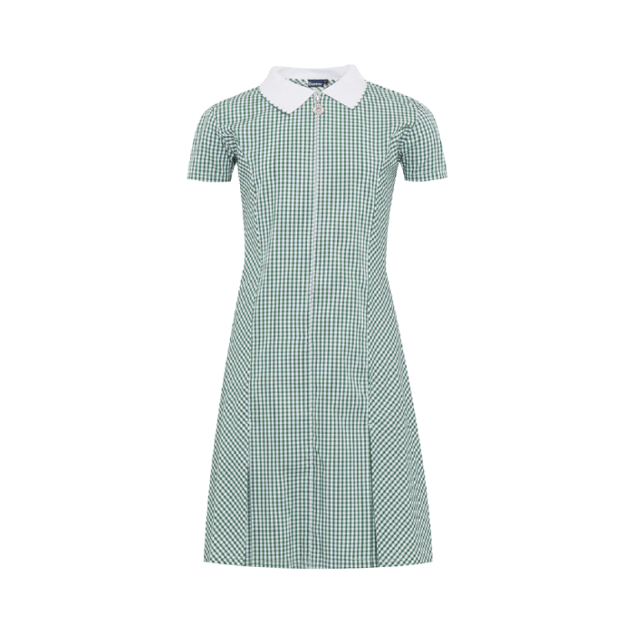 Plain Green Junior Gingham Dress contrast collar