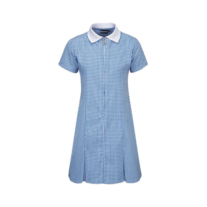 Plain Blue Junior Gingham Dress contrast collar