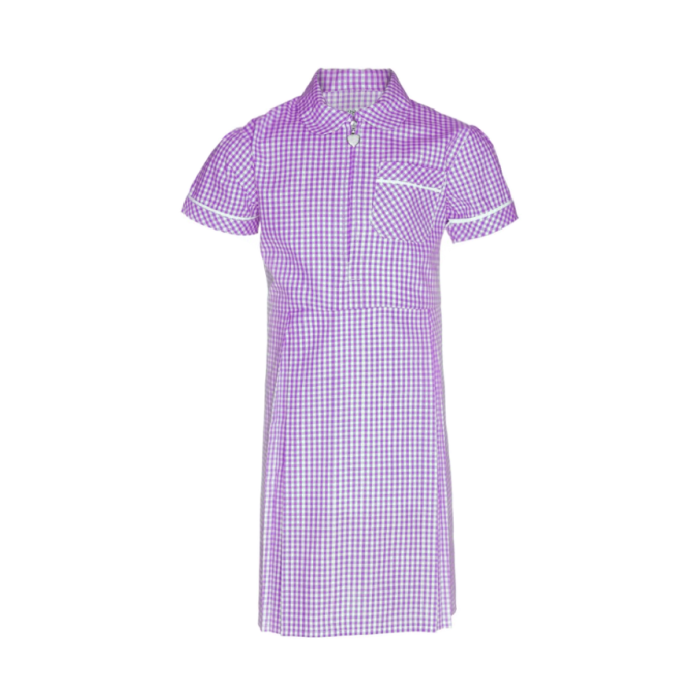 Lilac gingham clearance school dress