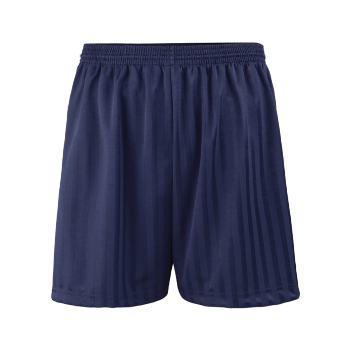 Plain Navy PE Shadow Shorts