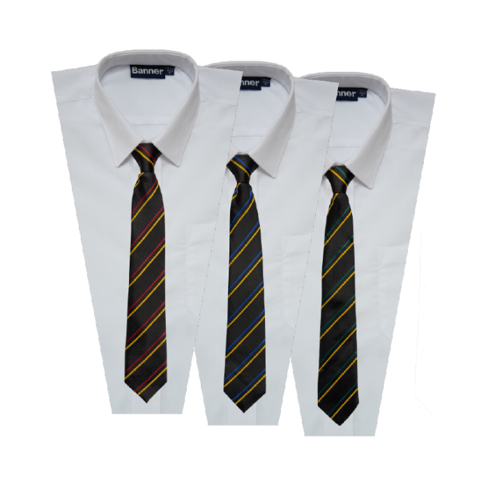 House Clip On Tie